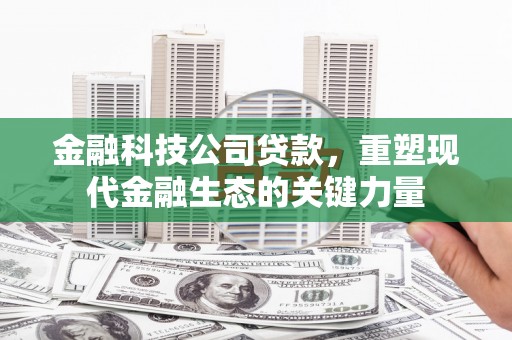 永清金融科技公司贷款，重塑现代金融生态的关键力量