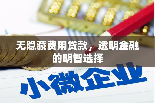 永清无隐藏费用贷款，透明金融的明智选择