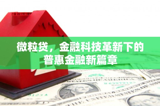 永清微粒贷，金融科技革新下的普惠金融新篇章