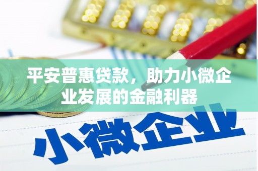永清平安普惠贷款，助力小微企业发展的金融利器