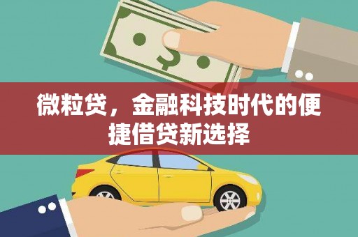永清微粒贷，金融科技时代的便捷借贷新选择