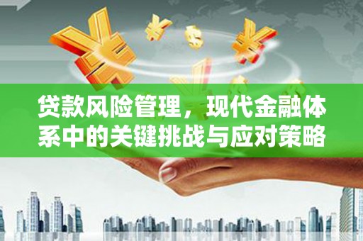永清贷款风险管理，现代金融体系中的关键挑战与应对策略