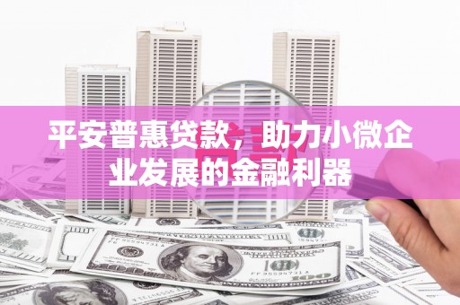 永清平安普惠贷款，助力小微企业发展的金融利器
