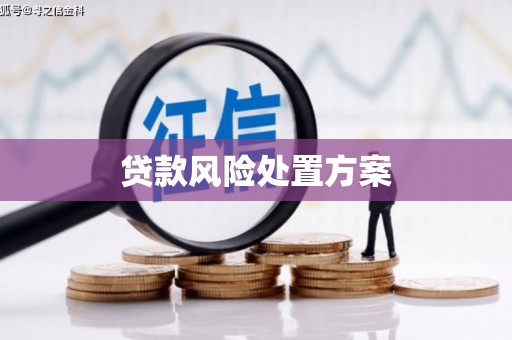 永清贷款风险处置方案
