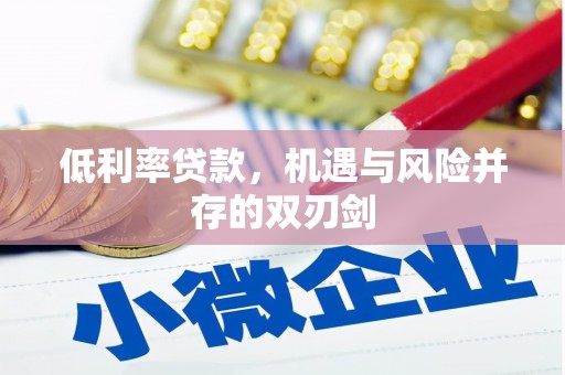 永清低利率贷款，机遇与风险并存的双刃剑