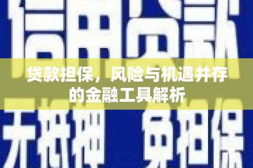 永清贷款担保，风险与机遇并存的金融工具解析