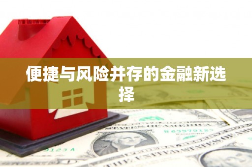 永清便捷与风险并存的金融新选择
