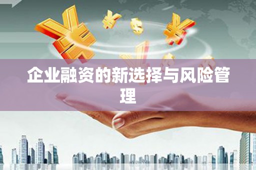 永清企业融资的新选择与风险管理