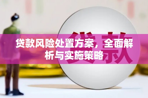 永清贷款风险处置方案，全面解析与实施策略