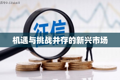 永清机遇与挑战并存的新兴市场