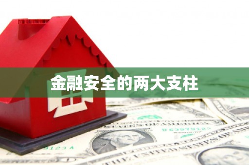 永清金融安全的两大支柱