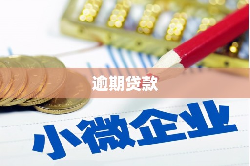永清逾期贷款