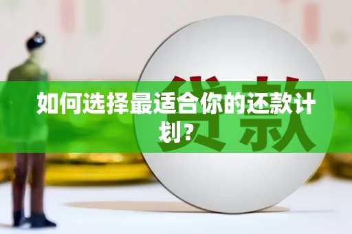 永清如何选择最适合你的还款计划？