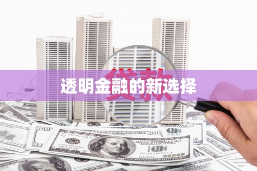 永清透明金融的新选择