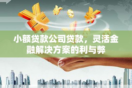 永清小额贷款公司贷款，灵活金融解决方案的利与弊