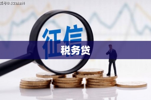 永清税务贷